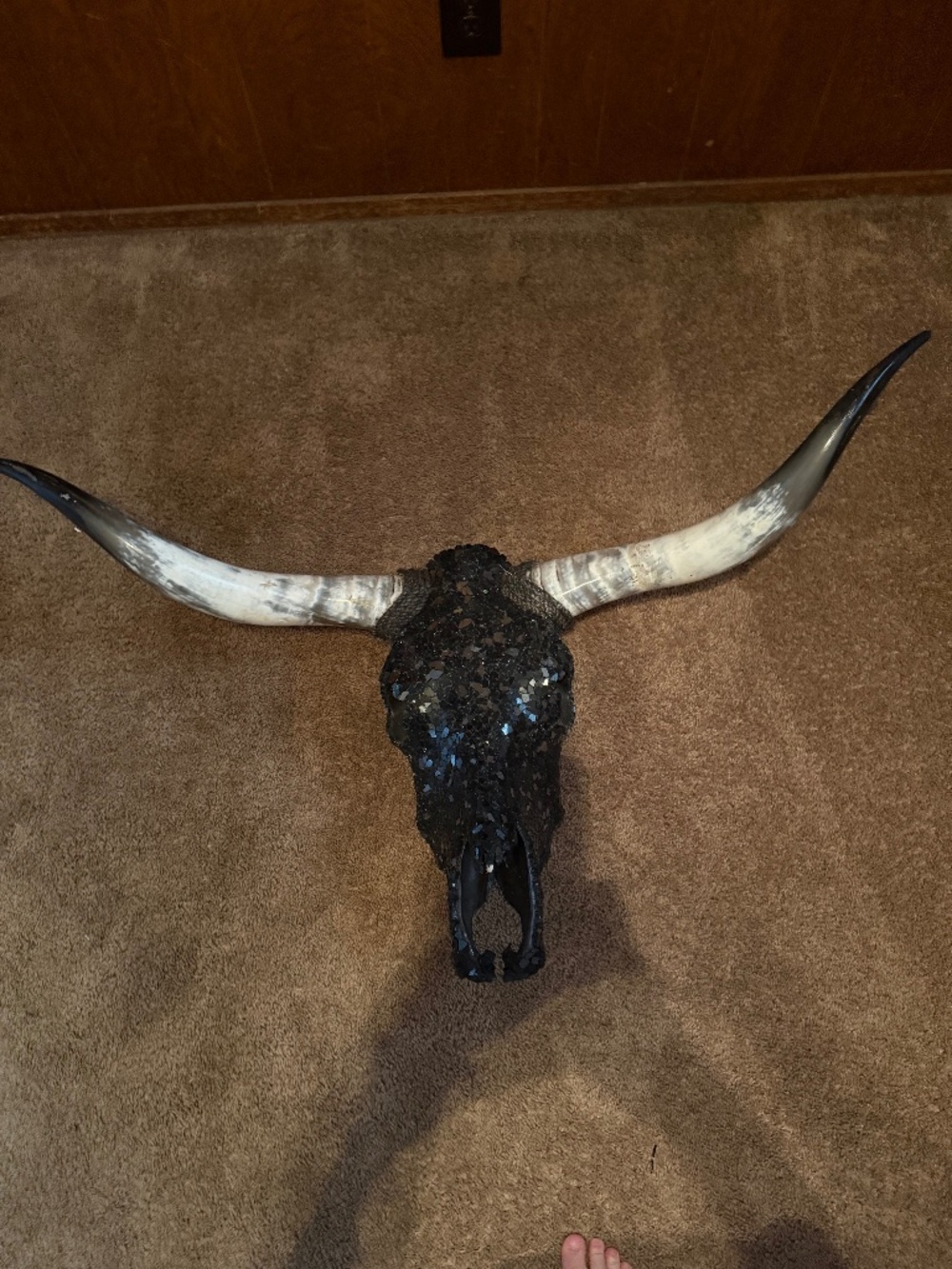 Large Bull Skull